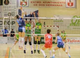 El Cajasol iniciará la Superliga ante el Minis de Arluy Logroño