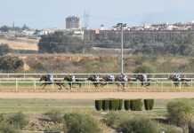El Betis podría ubicar su ciudad deportiva en Entrenúcleos