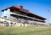 «Futuro prometedor» para el hipódromo de Dos Hermanas