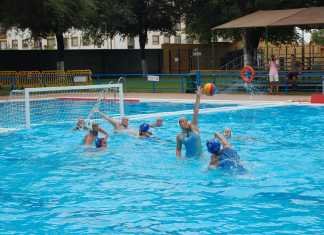 El Waterpolo Dos Hermanas, anfitrión de la Copa Andalucía