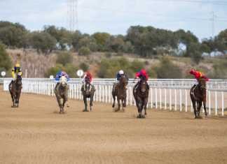 Ciriaco confirmó su estado de gracia en el Premio Sabicas