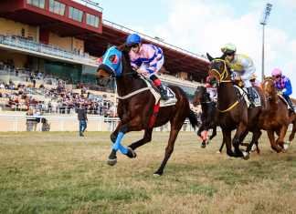 Jornada homenaje a Roberto Cocheteux en el hipódromo jornada homenaje a roberto cocheteux