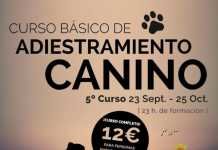 Aún puedes inscribirte en el curso básico de adiestramiento canino