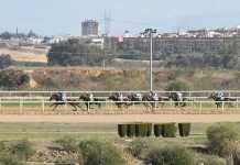 Actualizado el plano de uso del Plan Especial Hipódromo