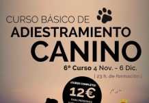 Nueva edición del curso de adiestramiento básico canino