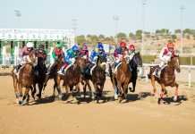 Noviembre cierra su mes con tres jornadas de carreras de caballos