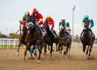 Caballos y ocio para una nueva tarde de carreras