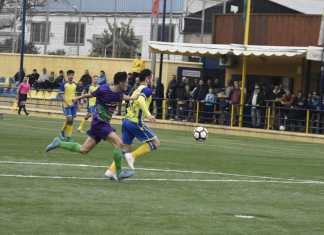 Tras los pasos del líder