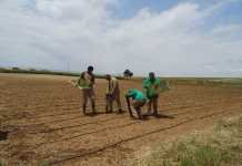 Bioalverde, un proyecto solidario en fase de crecimiento y consolidación