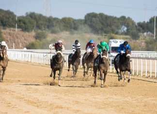 Ricardo Sousa se coronó como mejor jockey de 2018