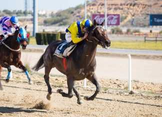 Captain Moonlite sigue reinando en Dos Hermanas