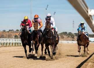 Segunda cita de la temporada de carreras 2019-20 en el hipódromo segunda cita