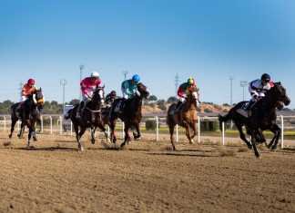 We Know sorprende en la maratón del hipódromo de Dos Hermanas we know