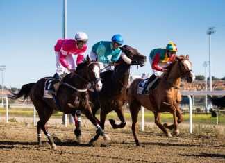 Captain Moonlite inaugura 2020 en el hipódromo de Dos Hermanas captain moonlite