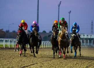 Noviembre pleno de carreras de caballos