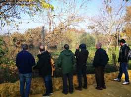 convenio con emasesa