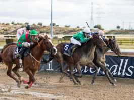 Exhibición de Arab Poet en el hipódromo