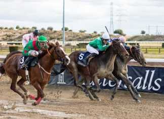 Exhibición de Arab Poet en el hipódromo