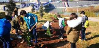 Nueva semilla por un alumnado más medioambiental