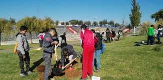 El alumnado de Secundaria vuelve a plantar árboles en Entrenúcleos