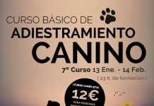 Séptima edición del curso básico de adiestramiento canino
