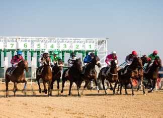 Primera jornada de carreras de caballos de 2019