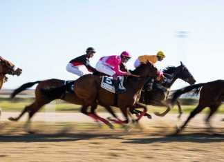 Janacek suma dos nuevas victorias