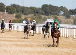 El hipódromo bate récord de inscritos