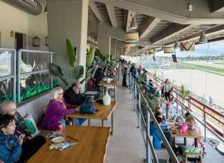 Última jornada de carreras de caballos de enero