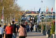 Catas de aceite y cerveza y un taller de coctelería animarán DMuestra 2019