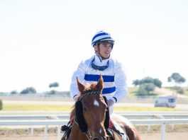 Hipodamo de Mileto, el mejor caballo de España vuelve al hipódromo