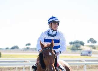 Hipodamo de Mileto, el mejor caballo de España vuelve al hipódromo