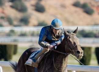 Memorial Javier Piñar Hafner en el hipódromo