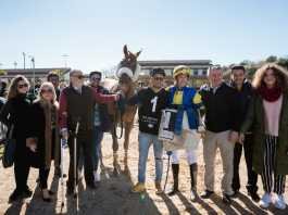Hipodamo de Mileto demostró por qué es el mejor caballo de España