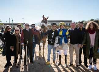 Hipodamo de Mileto demostró por qué es el mejor caballo de España