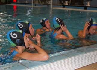 Dispares desplazamientos para el C.W. Dos Hermanas