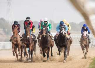 El hipódromo celebró su memorial Javier Piñar Hafner
