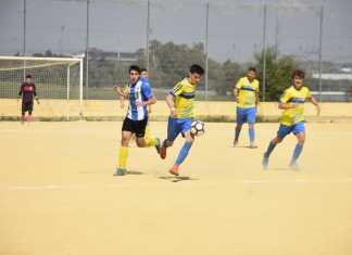 Casi pleno de victorias en la 3º Andaluza