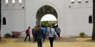 Nueva cita con la actividad Conoce tus orígenes