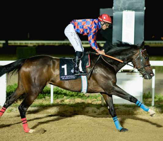 Dobletes de Janecek y Sousa en la primera nocturna del hipódromo