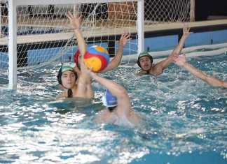 Sin capacidad de reacción