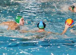 El C.W. Dos Hermanas se ha despedido de la categoría de plata