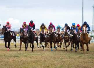 Última jornada de carreras de caballos del año 2019 en Dos Hermanas última jornada de carreras de caballos