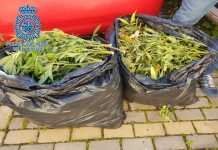 Detenido en plena calle con dos bolsas de basura llenas de marihuana