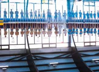 Jornada crucial para los intereses del Waterpolo Dos Hermanas