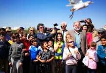 Reforestación, suelta de aves y talleres en el Día Mundial del Agua