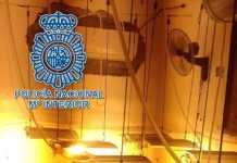 Desmantela una plantación de marihuana camuflada en una vivenda en construcción