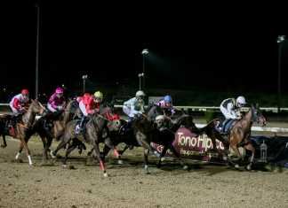 Mucho público joven en la última cita hípica nocturna