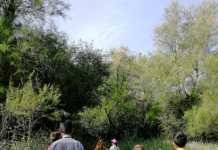 La Laguna de Fuente del Rey tiene nuevo horario de apertura