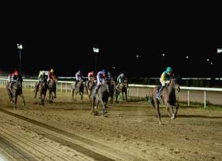 Gran Hipódromo de Andalucía ofrece una nueva reunión nocturna